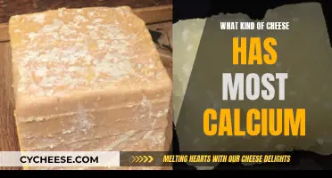 Cheese and Calcium: Which Cheeses Pack the Most Punch?