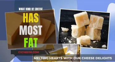 Cheese and Fat: The Ultimate Guide to High-Fat Cheeses