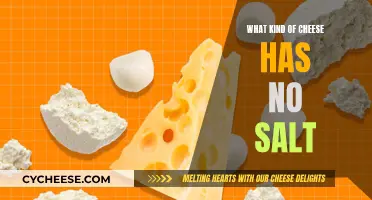 Cheese Without Salt: Is It Possible?