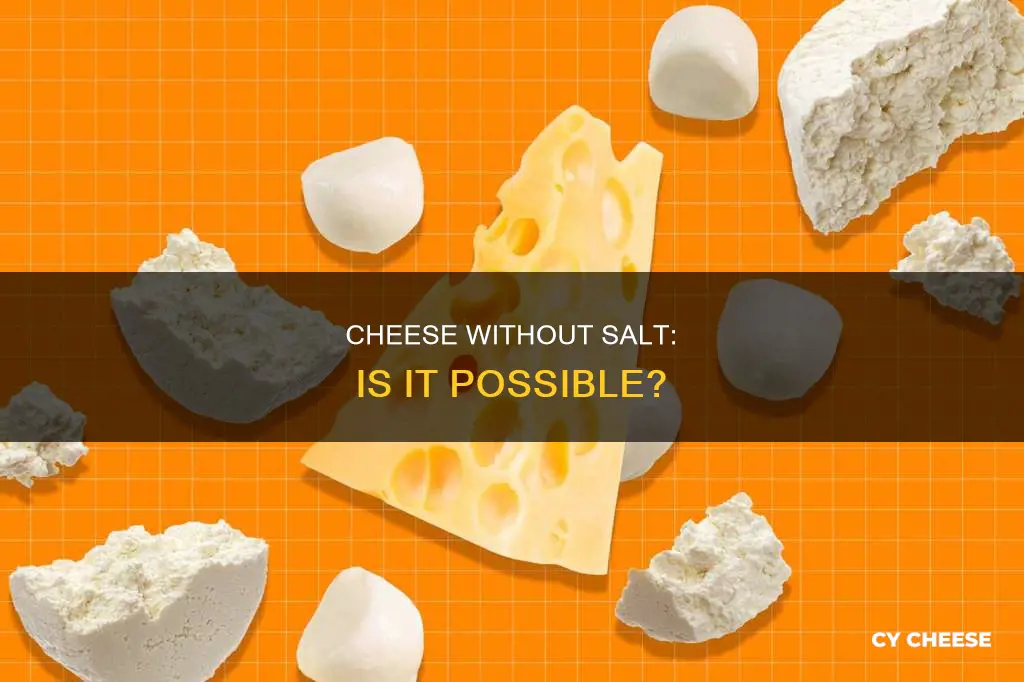 what kind of cheese has no salt