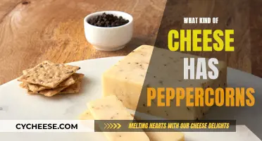 Peppercorn-Infused Cheeses: A Spicy, Savory Delight