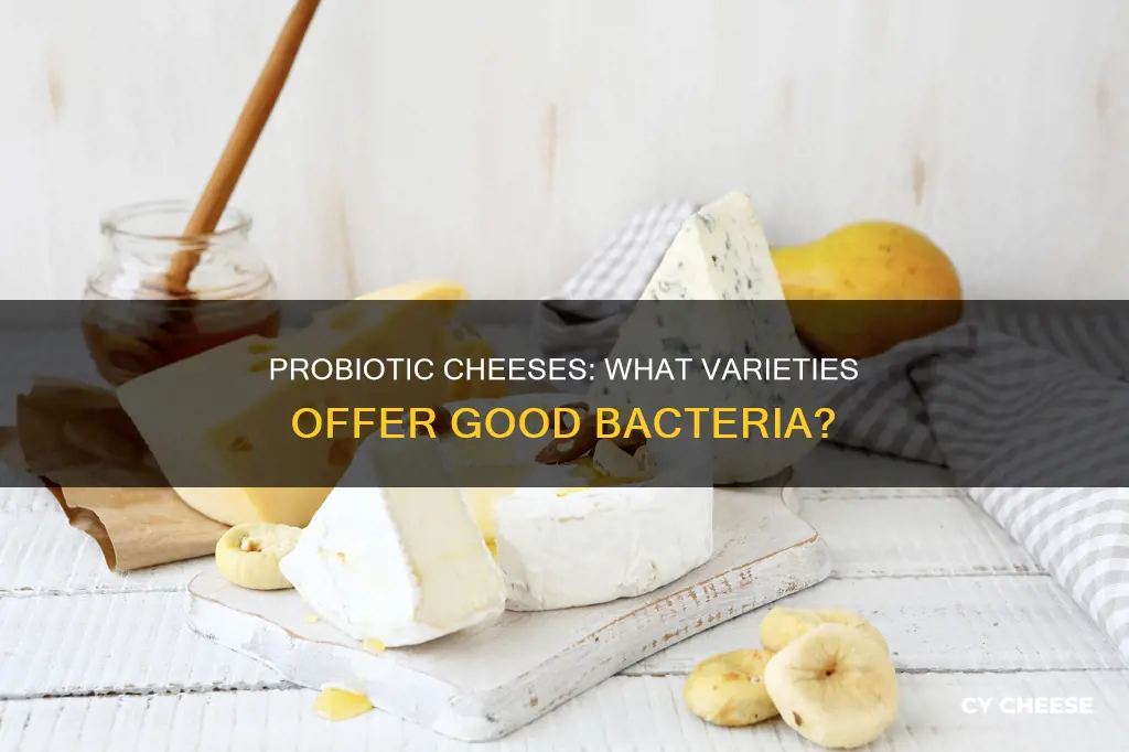 what kind of cheese has probiotics