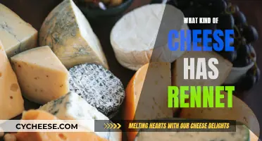 Cheese Varieties: Rennet-Based and Their Unique Characteristics