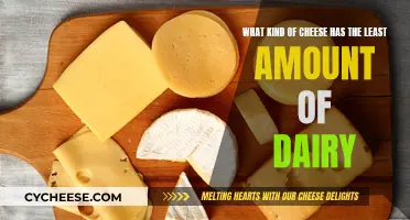 Cheese and Dairy: Low-Dairy Cheese Options Explored