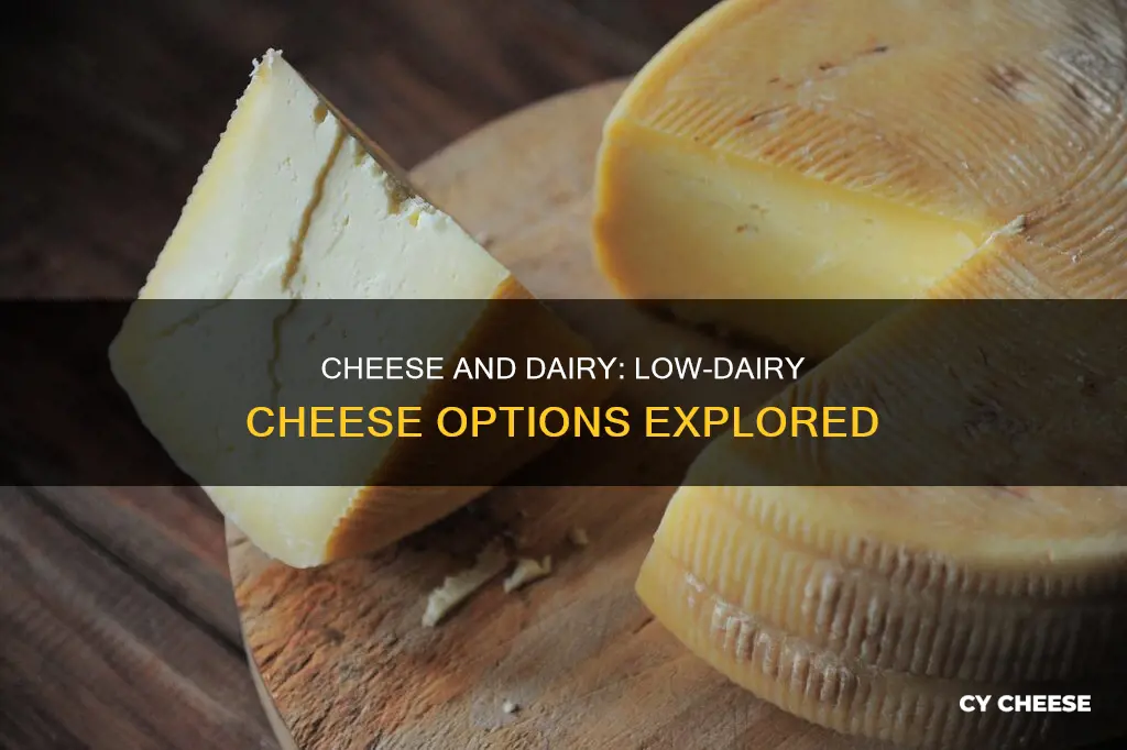 what kind of cheese has the least amount of dairy