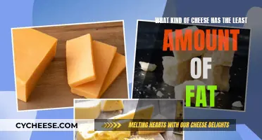 Cheese and Fat: The Lightest Options