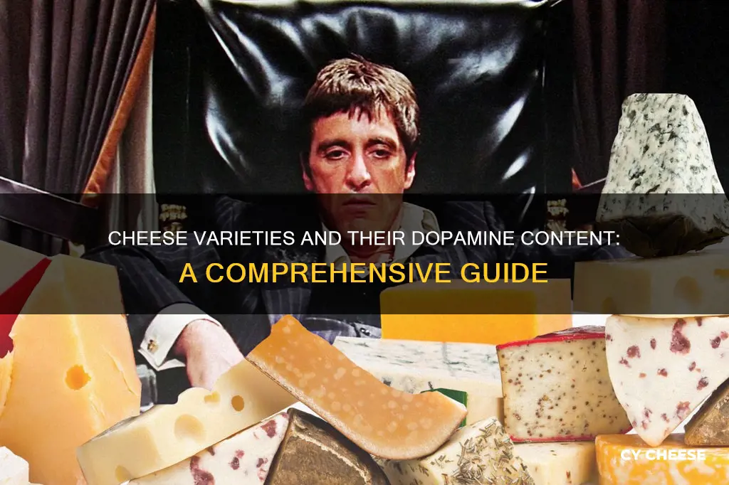 what kind of cheese has the most dopamine