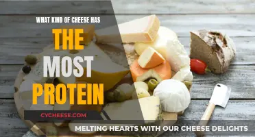 Cheese and Protein: Which Types Offer the Most?