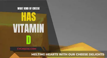 Cheese Varieties Rich in Vitamin D