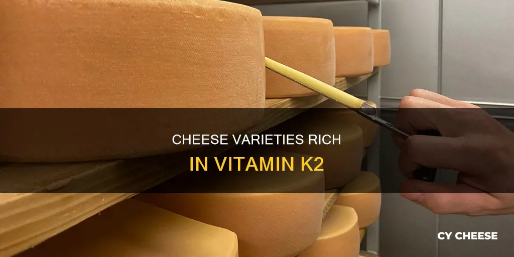 what kind of cheese has vitamin k2