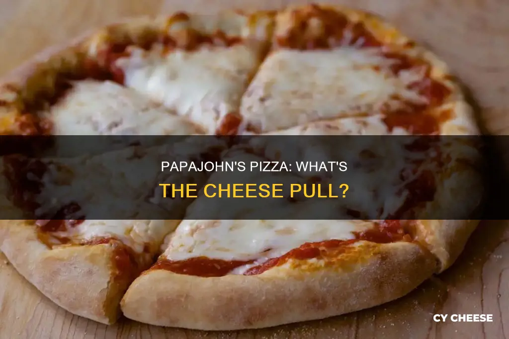 what kind of cheese id on papajohns pizza