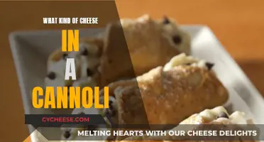 Cannoli Conundrum: Exploring the Perfect Cheesy Filling