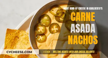 Adalberto's Secret: Cheese in Carne Asada Nachos