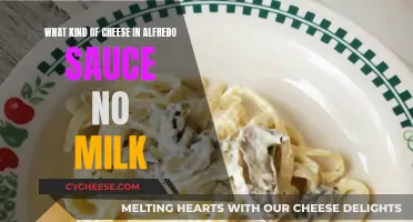 Cheese Options for a Rich and Creamy Alfredo Sauce