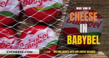 The Mystery Behind Babybel's Cheese: Unveiling the Recipe