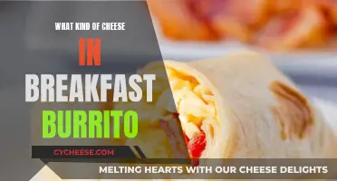 Breakfast Burrito Bliss: Cheeses to Elevate Your Morning