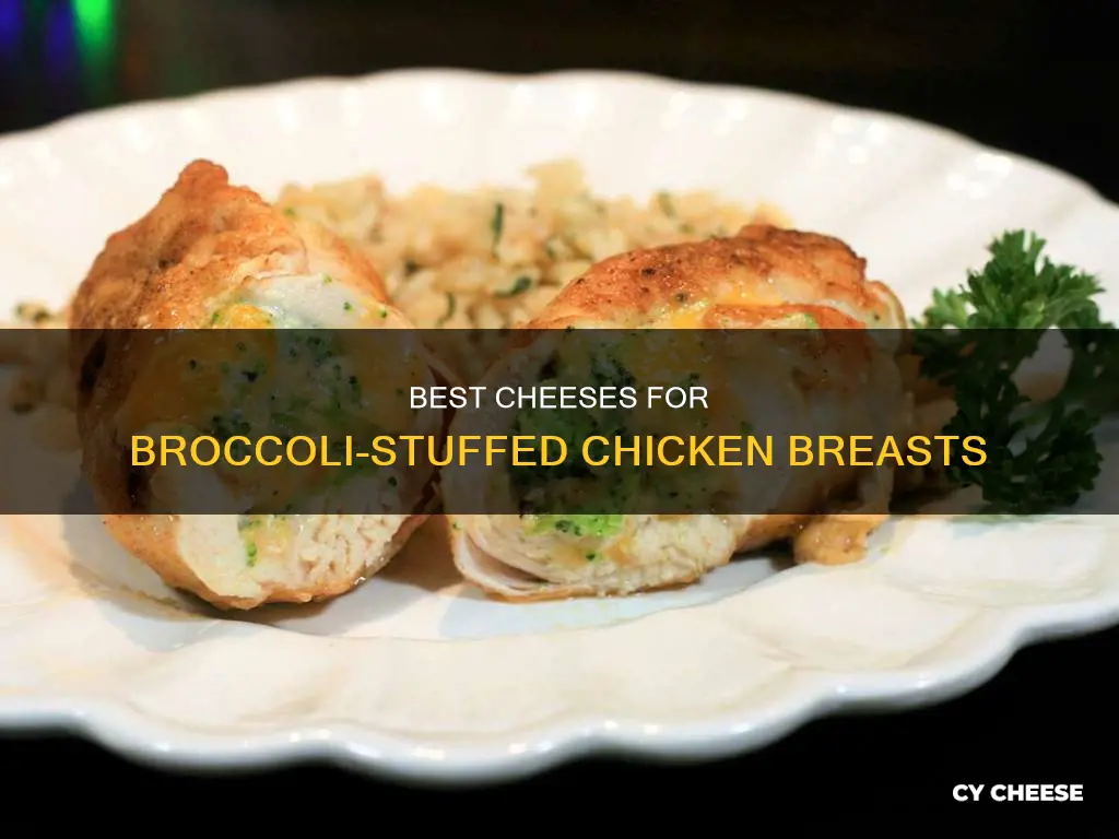 what kind of cheese in broccoli stuffed chicken breast