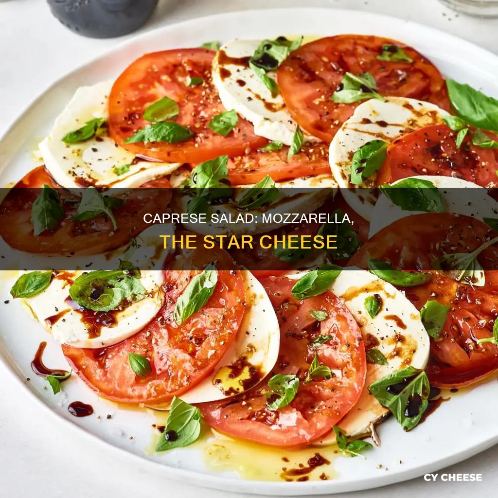 what kind of cheese in caprese salad