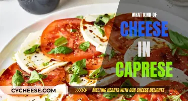 Caprese: The Perfect Blend of Cheese and Freshness