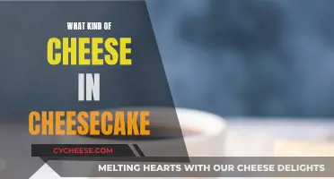 Cheese in Cheesecake: The Ultimate Guide to Varieties