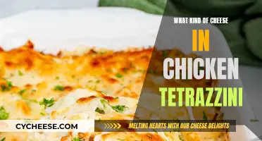 Chicken Tetrazzini: What Cheeses Make It So Delicious?