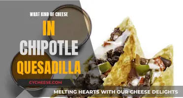 Chipotle Quesadilla: What's the Cheesy Secret?