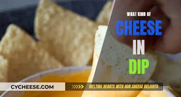 Cheese Dip Delights: Exploring Varieties and Flavors