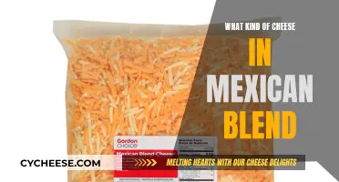 Exploring Mexican Cheese Blend: Types and Uses