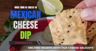 The Melty Truth: What Cheeses Make Mexican Dip?