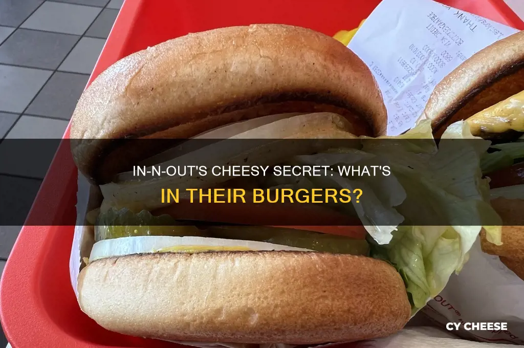 what kind of cheese in n out use