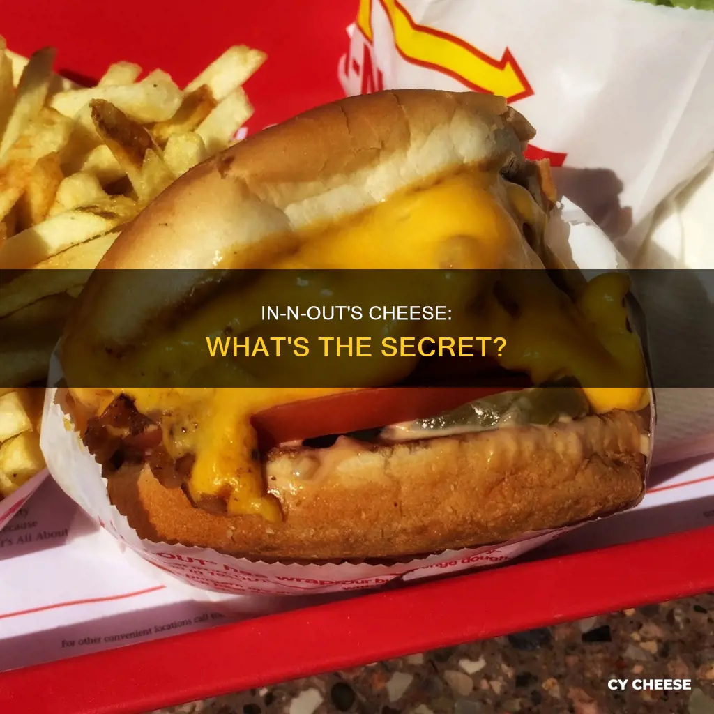 what kind of cheese in n out