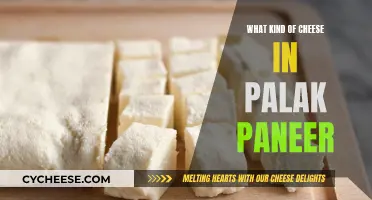 Finding the Perfect Cheese for Palak Paneer