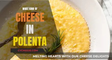 Polenta's Cheesy Affair: Perfect Cheese Pairings