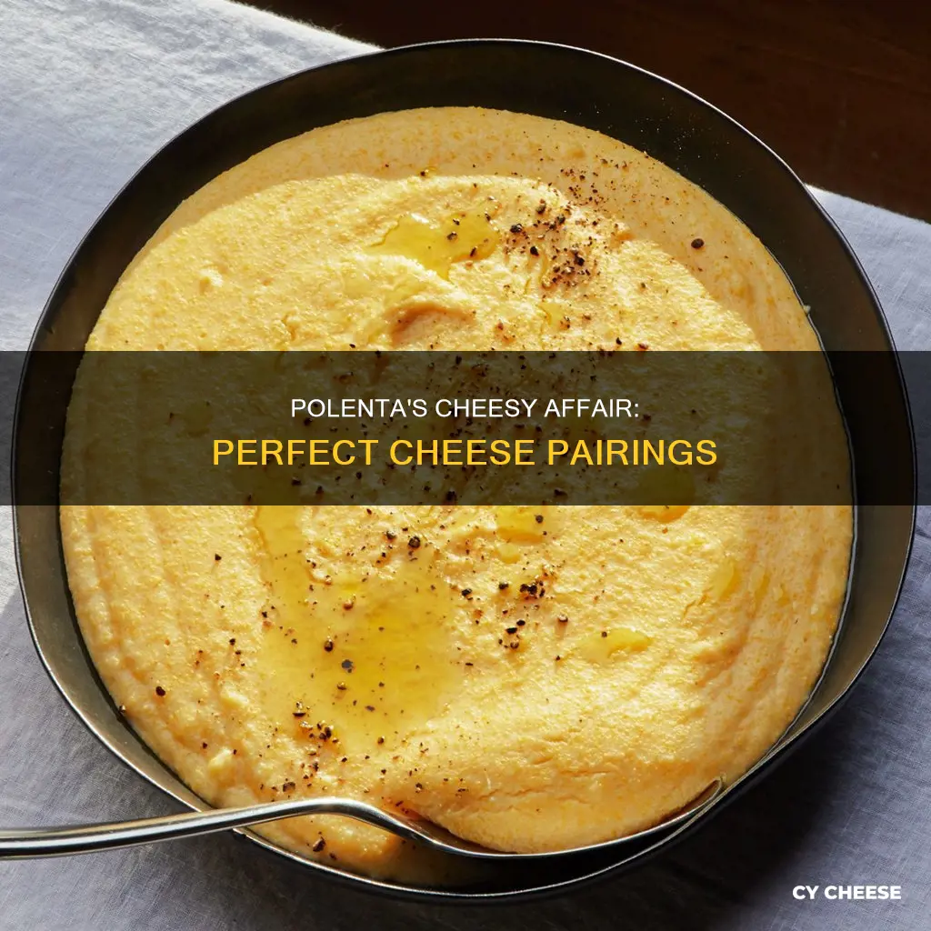 what kind of cheese in polenta