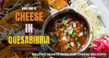 Cheese Pulls Apart: Quesabirria's Melty Secret