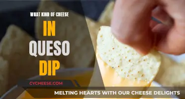 Cheese Types for Queso Dip: A Comprehensive Guide