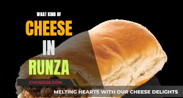 Runza's Cheese: What's the Secret Ingredient?