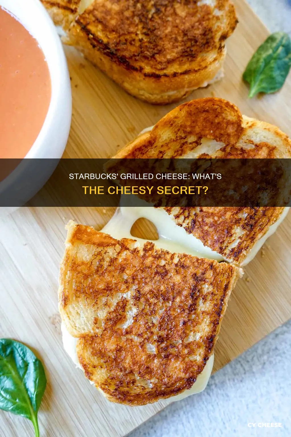 what kind of cheese in starbucks grilled cheese