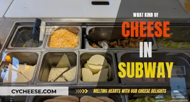 Cheese Varieties in Subway: Exploring the Melty Goodness