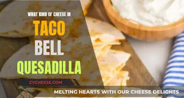 Tasty Quesadillas: Exploring Taco Bell's Cheese Options