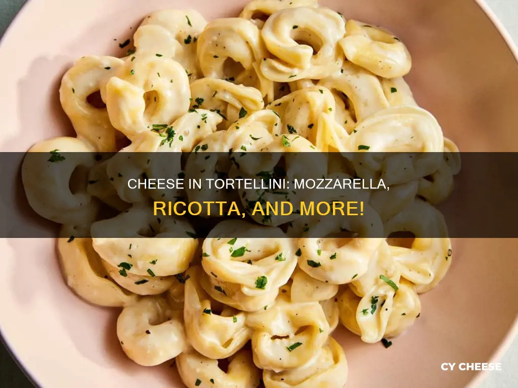 what kind of cheese in tortellini