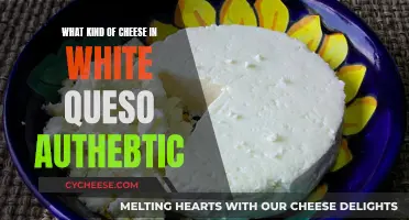 White Queso: Authentic Cheese or Modern Twist?