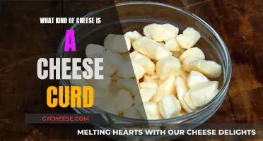 Cheese Curds: The Freshest Form of Dairy Deliciousness