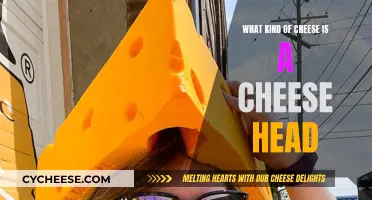 Cheese Head: What Kind of Cheese is it?