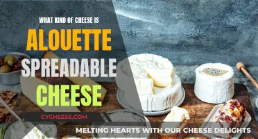 The Creamy, Spreadable Joy: What is Alouette Cheese?