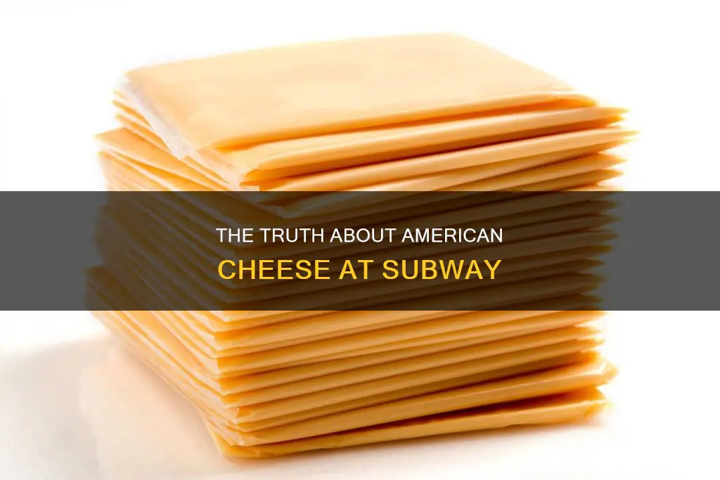 what kind of cheese is american at subway