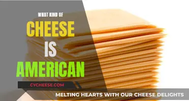 American Cheese: A Melting Pot of Varieties and Flavors