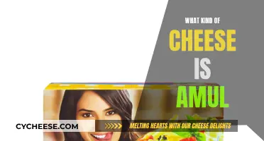 Amul Cheese: Understanding the Unique, Popular Indian Cheese