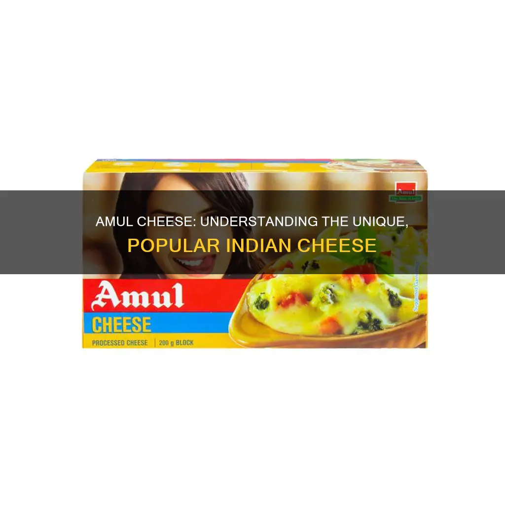 what kind of cheese is amul