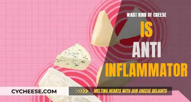 Cheese and Inflammation: The Best Anti-Inflammatory Cheeses